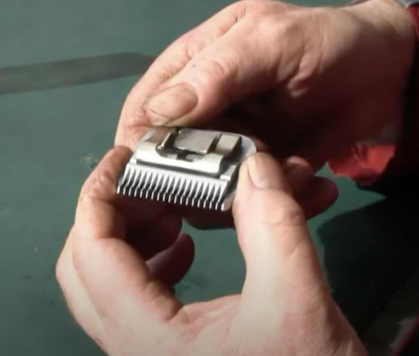 A5 clipper Blade%20Assembly