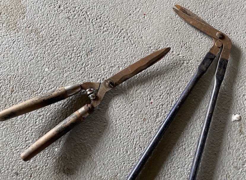 Dirty blunt Garden Shears