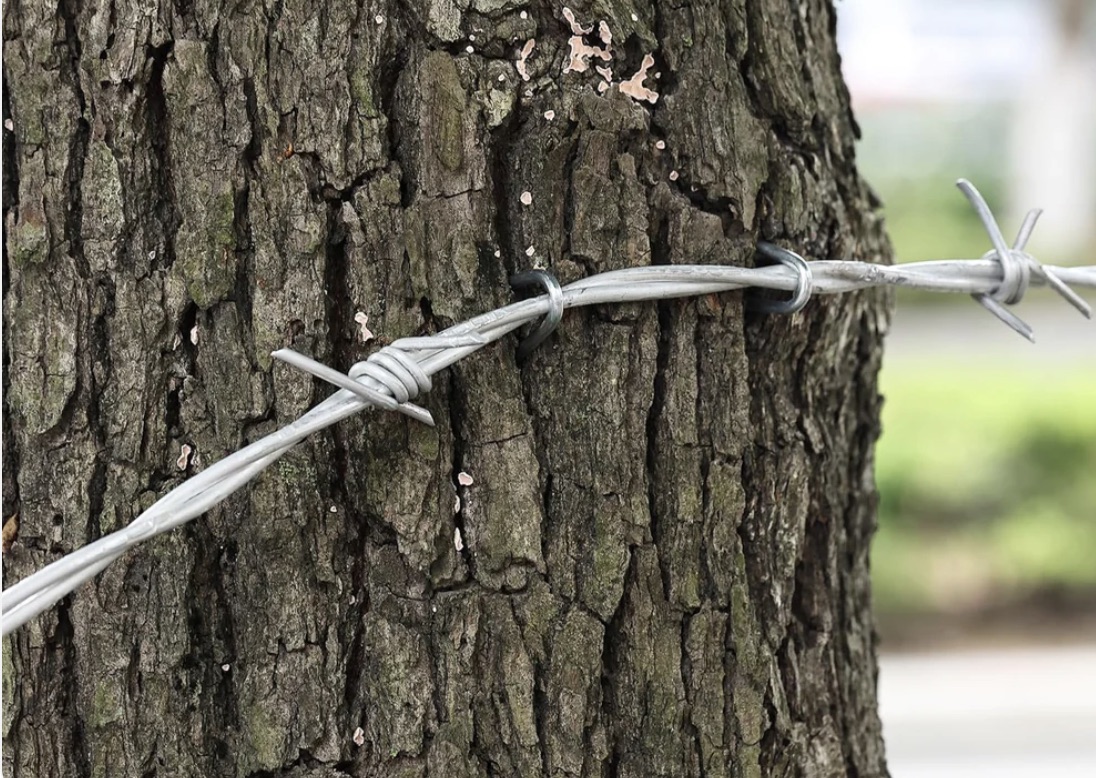 Wooden structure outdoors